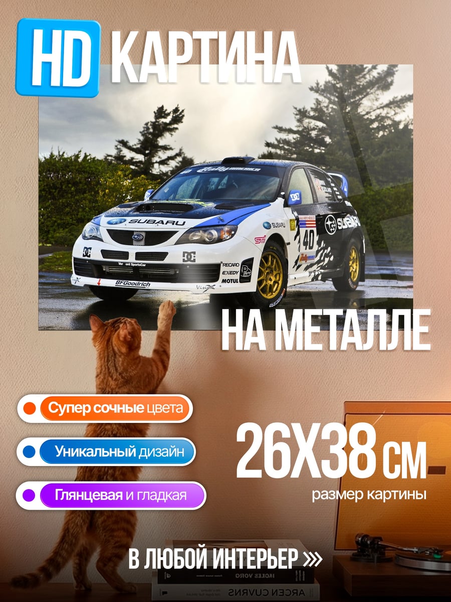 Картина на металле Раллийный автомобиль Subaru