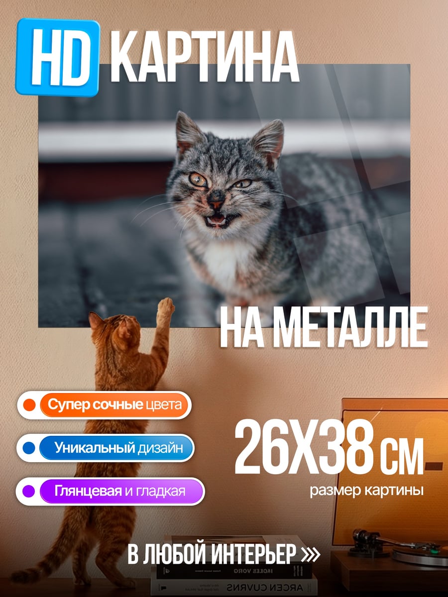Картина на металле Сердитый кот