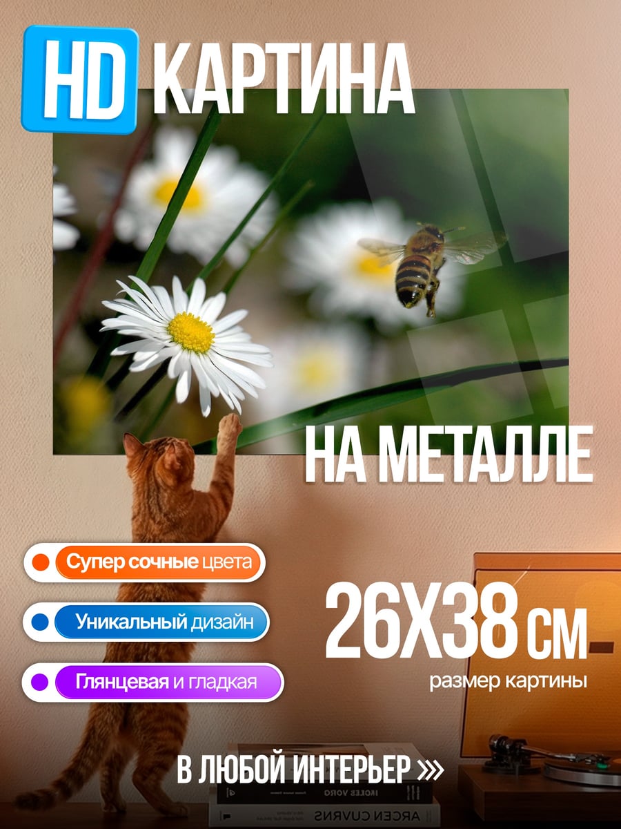 Картина на металле Пчела на ромашке
