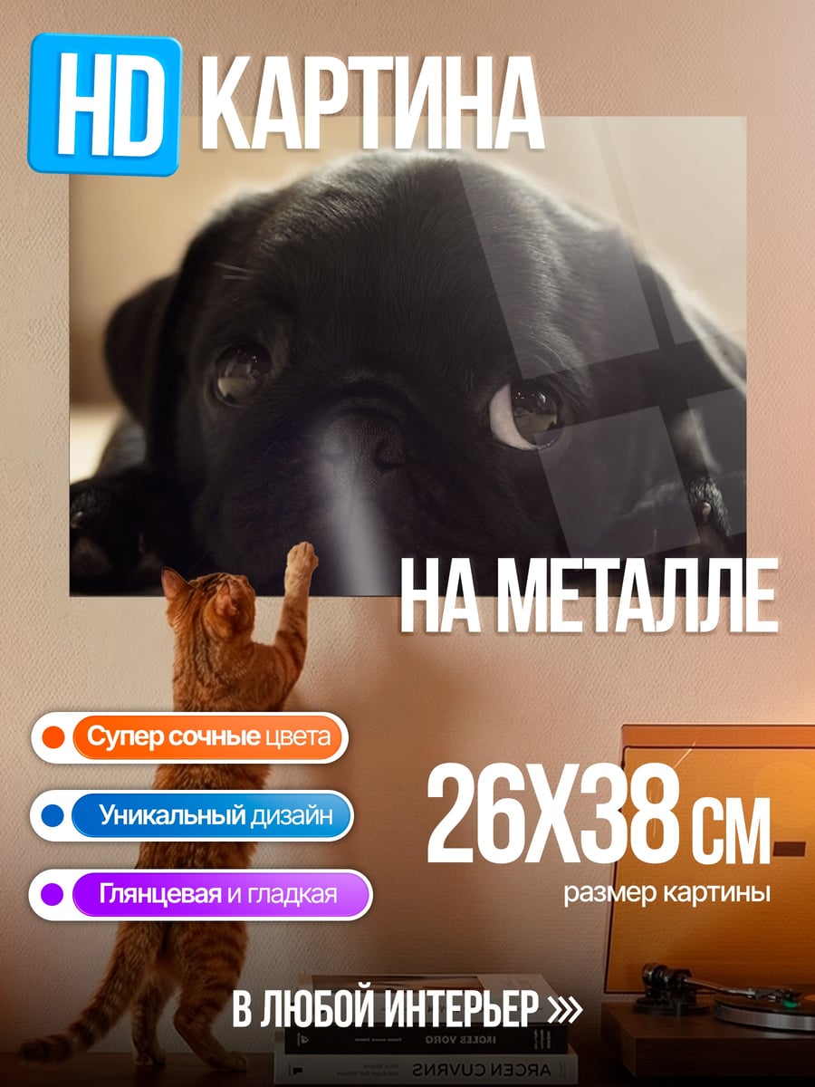 Картина на металле Грустный мопс