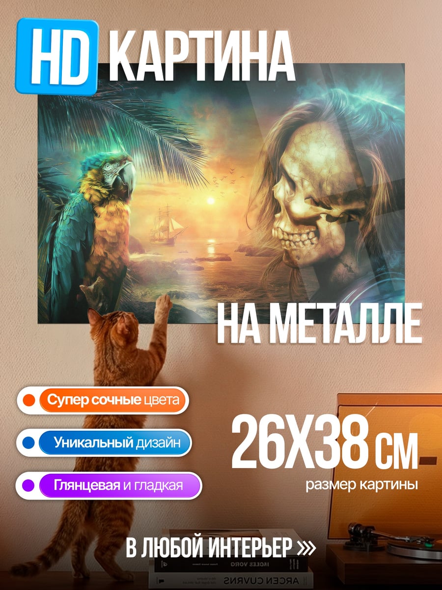 Картина на металле Пират и попугай