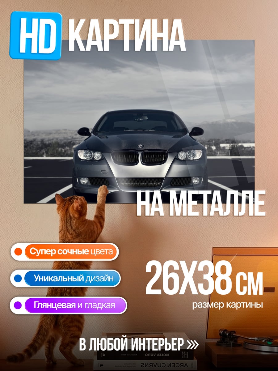 Картина на металле Серый автомобиль