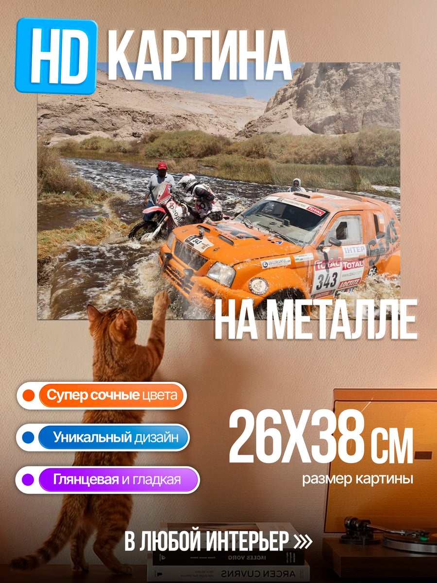 Картина на металле Ралли в пустыне
