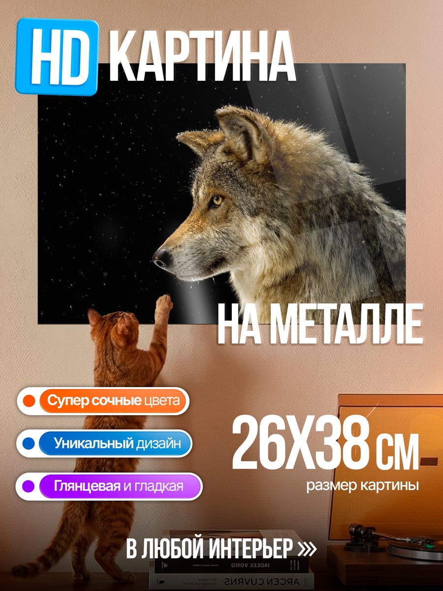Картина на металле Портрет волка