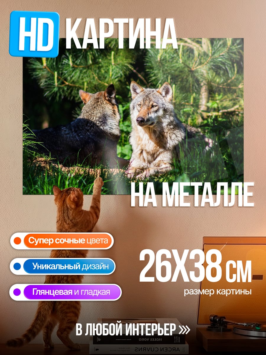Картина на металле два волка трава