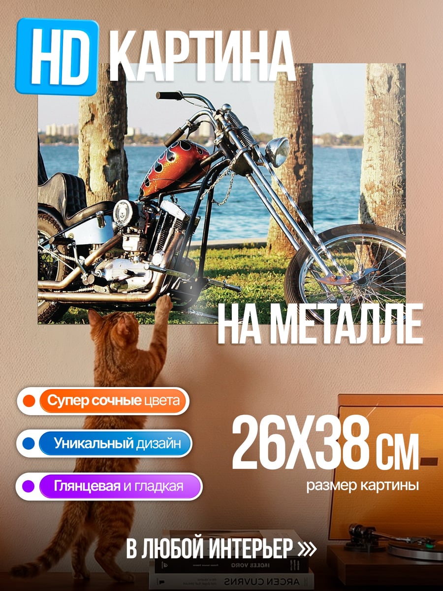 Картина на металле Чоппер у воды