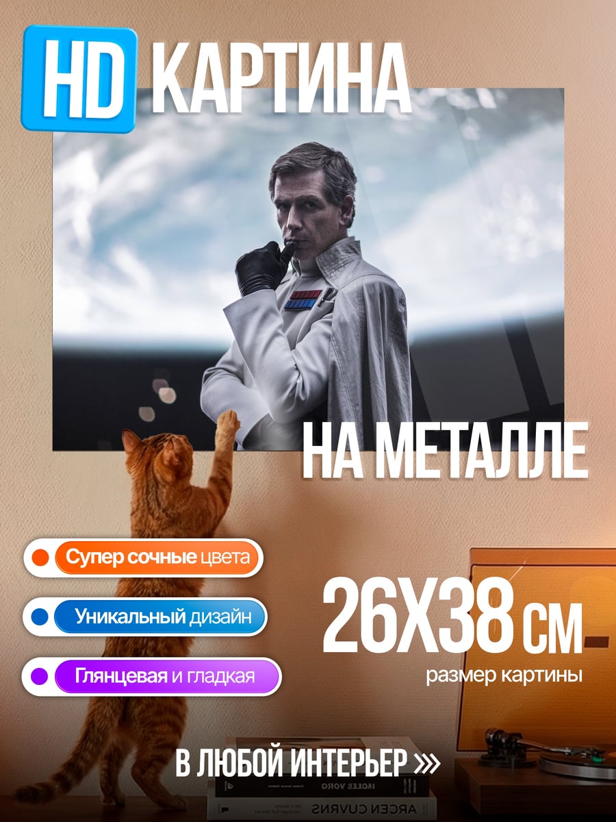 Картина на металле Офицер Империи