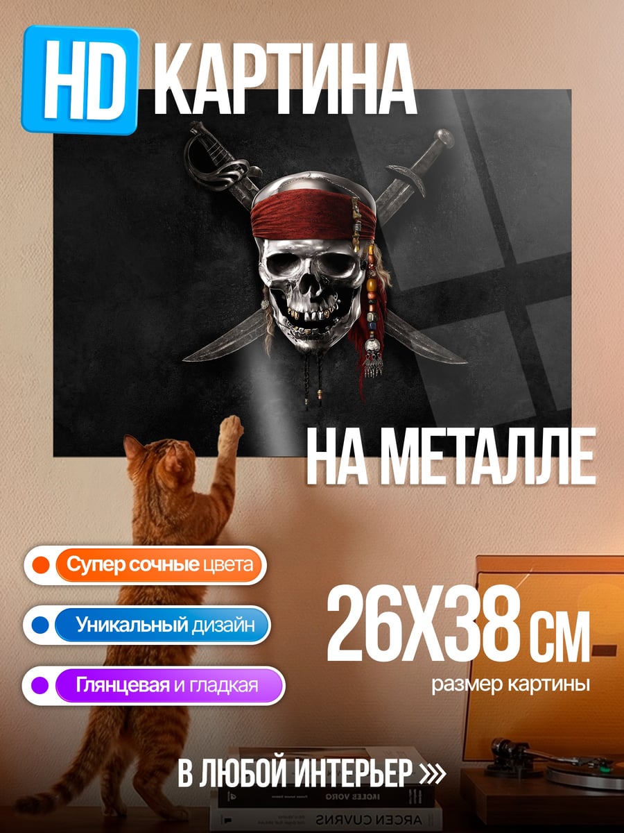 Картина на металле Череп пирата