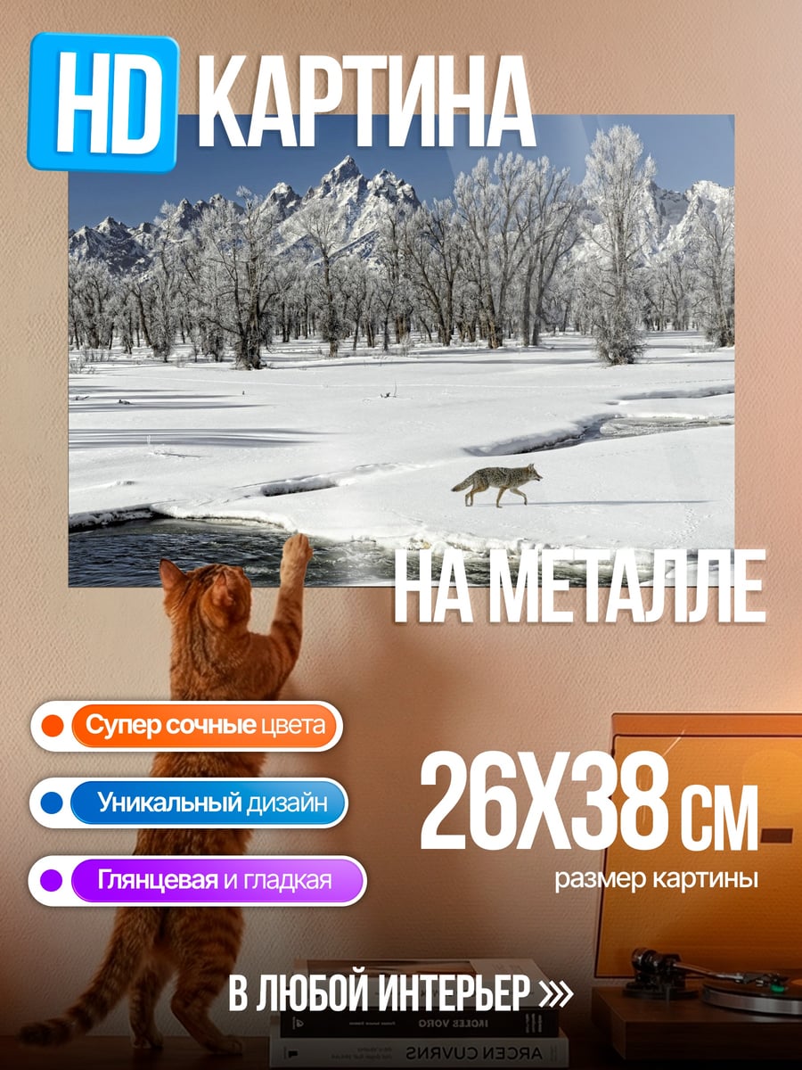 Картина на металле Волк в снегу