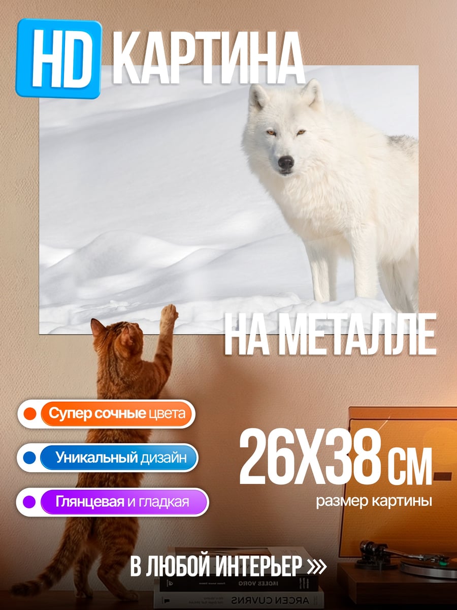 Картина на металле Белый волк в снегу