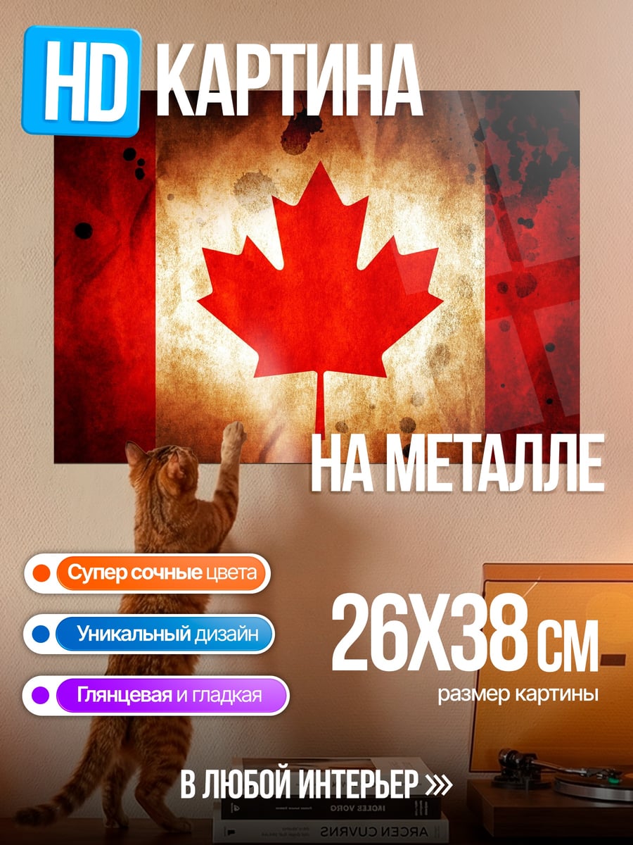 Картина на металле Кленовый лист флаг