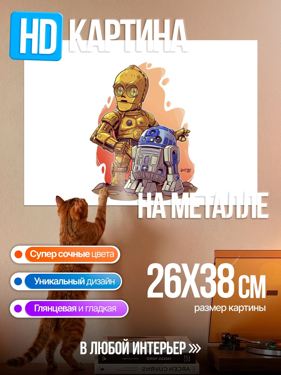 Картина на металле C-3PO R2-D2