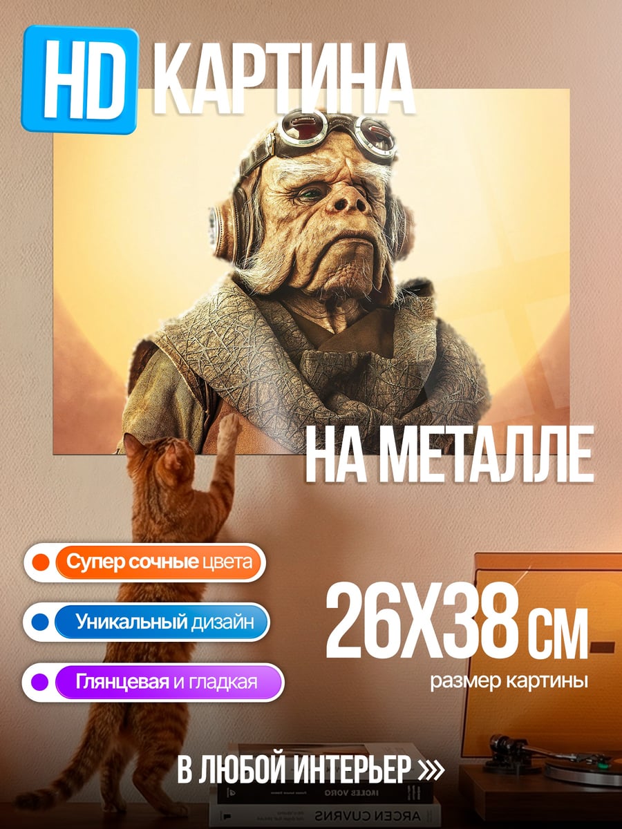 Картина на металле Звездный пилот