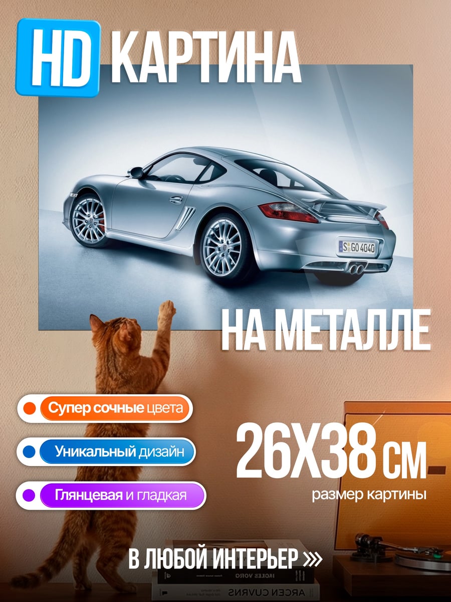Картина на металле Серебристый спорткар