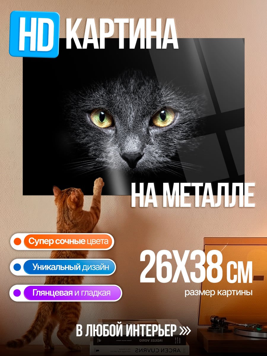 Картина на металле Черный кот в темноте