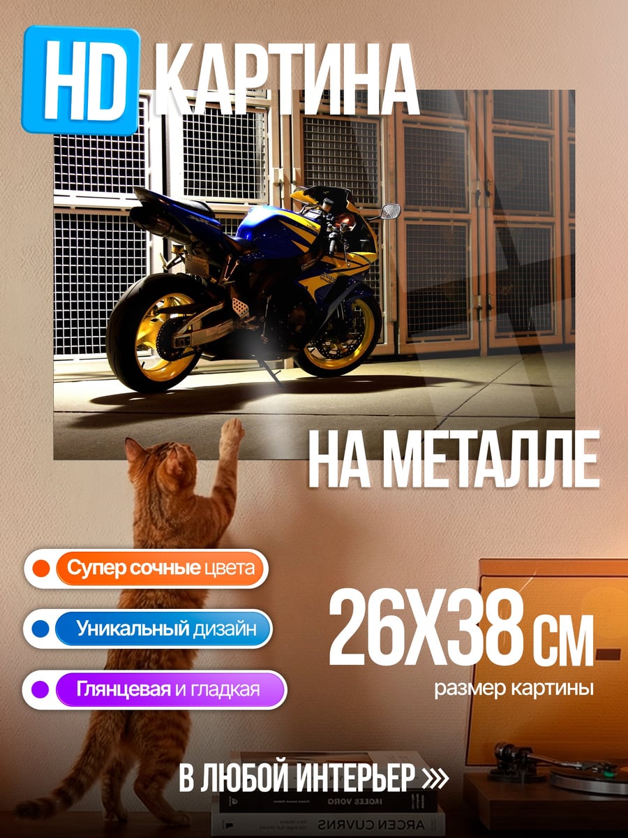 Картина на металле спортивный мотоцикл