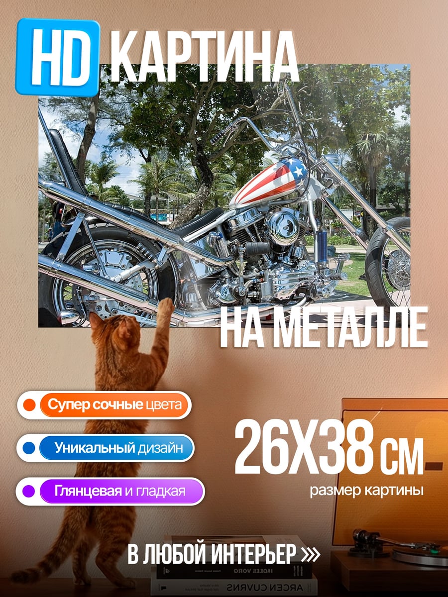 Картина на металле чоппер с флагом
