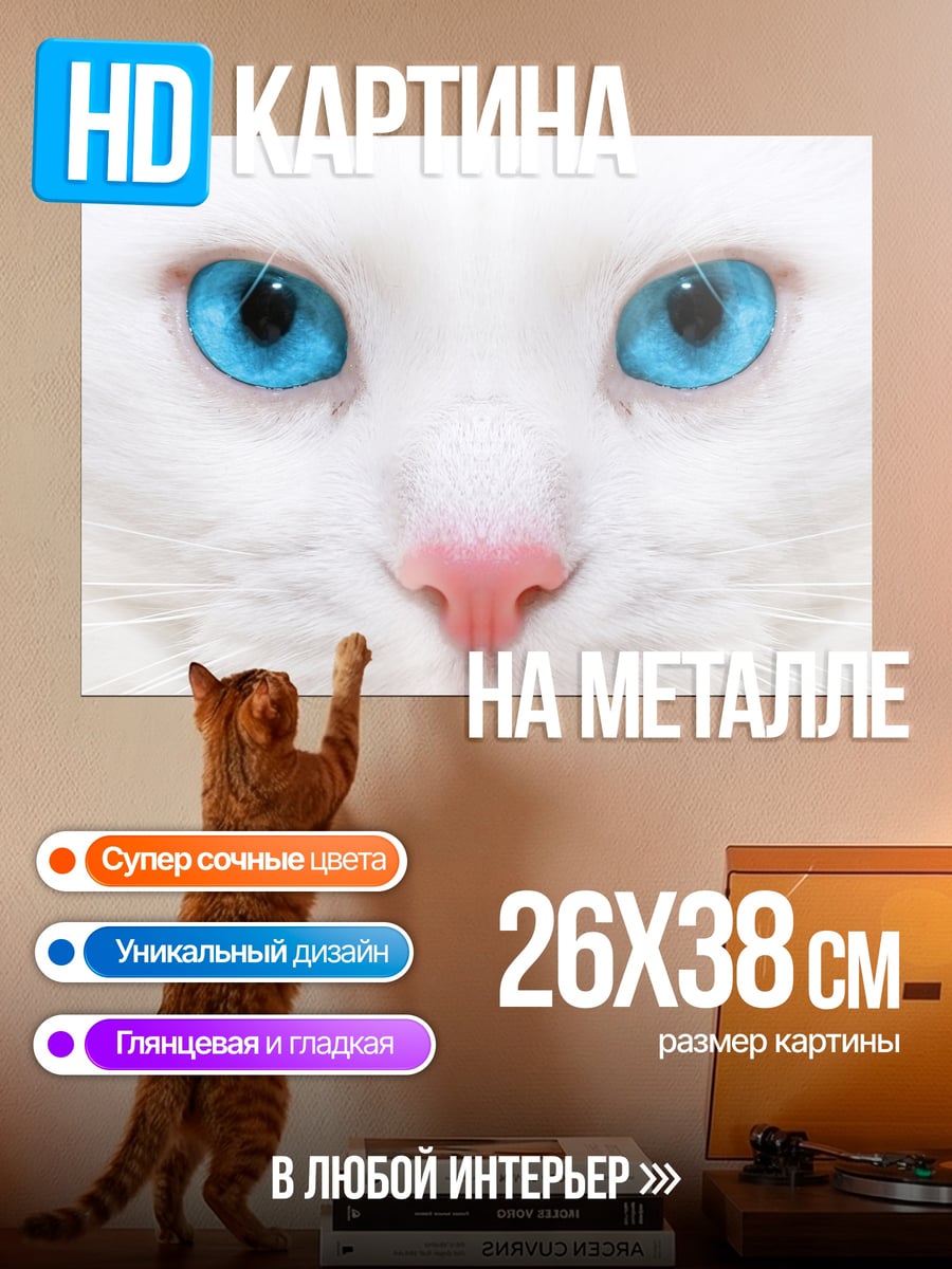 Картина на металле белый кот синие глаза