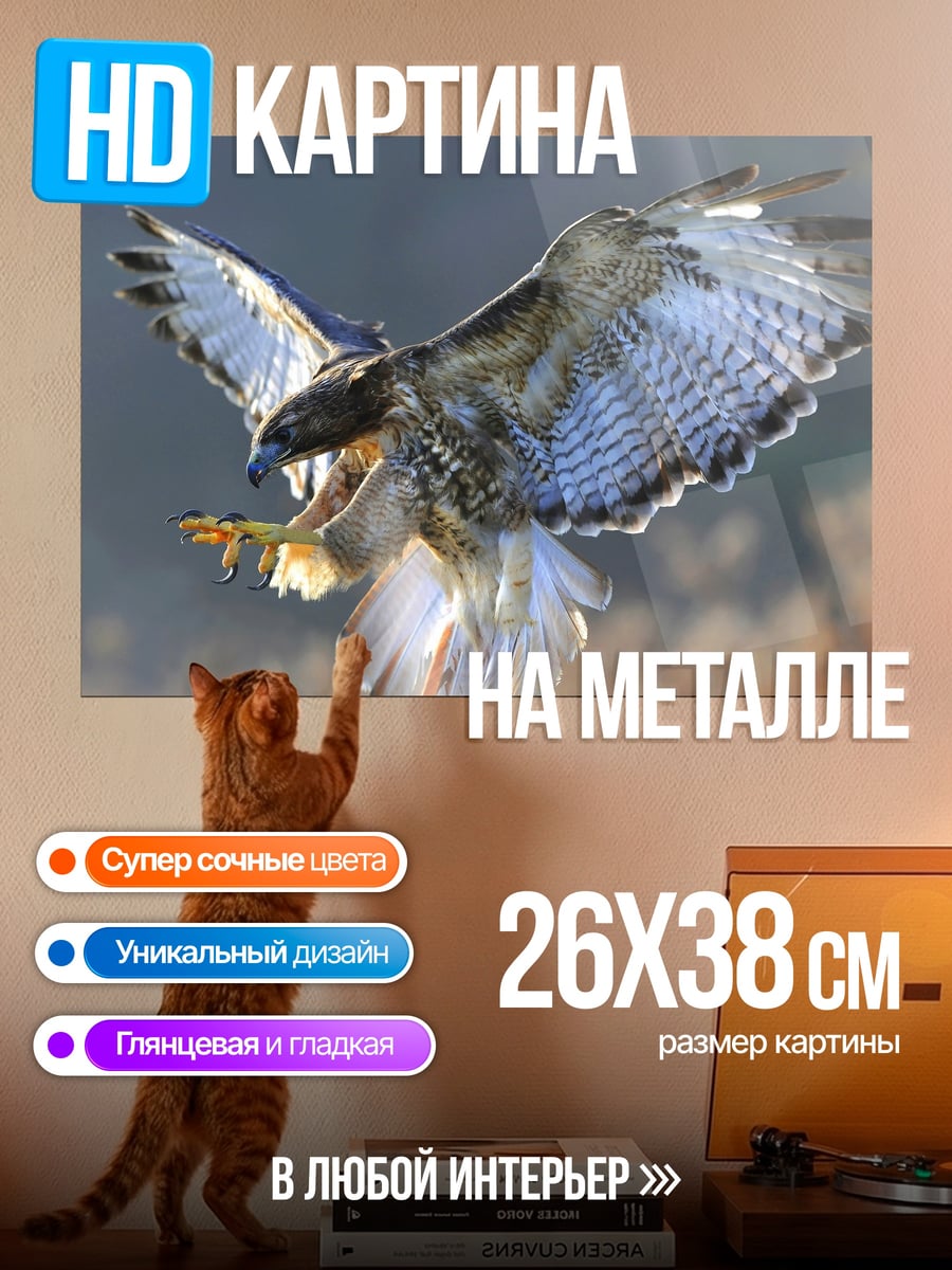 Картина на металле Ястреб в полете
