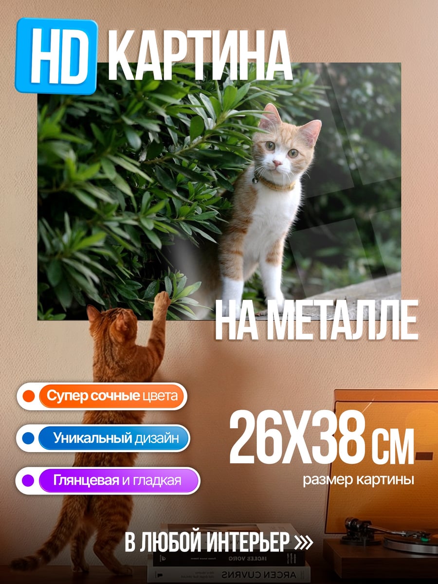 Картина на металле Кот у кустов