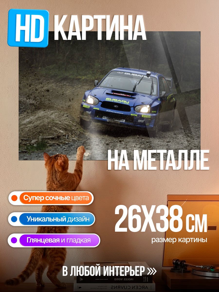 Картина на металле Ралли Subaru