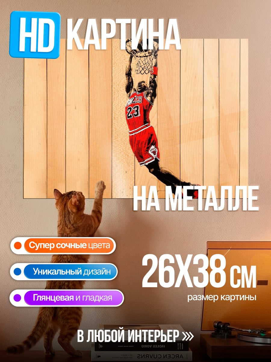 Картина на металле Майкл Джордан дан