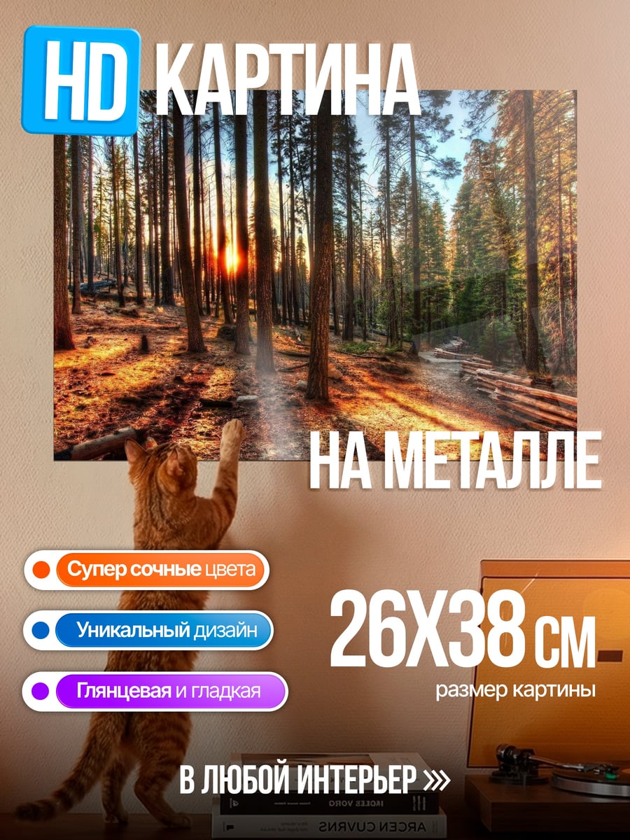 Картина на металле Солнечный лес секвой