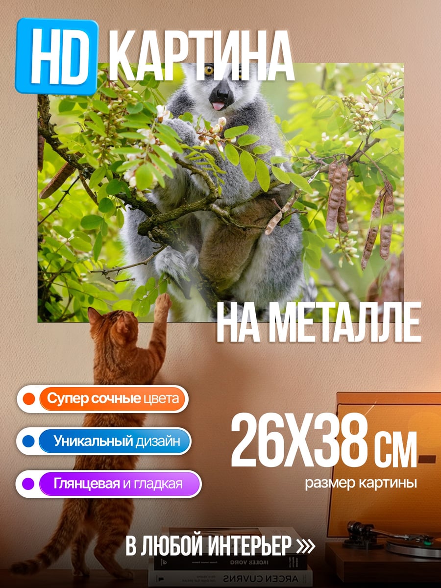 Картина на металле кольцехвостый лемур