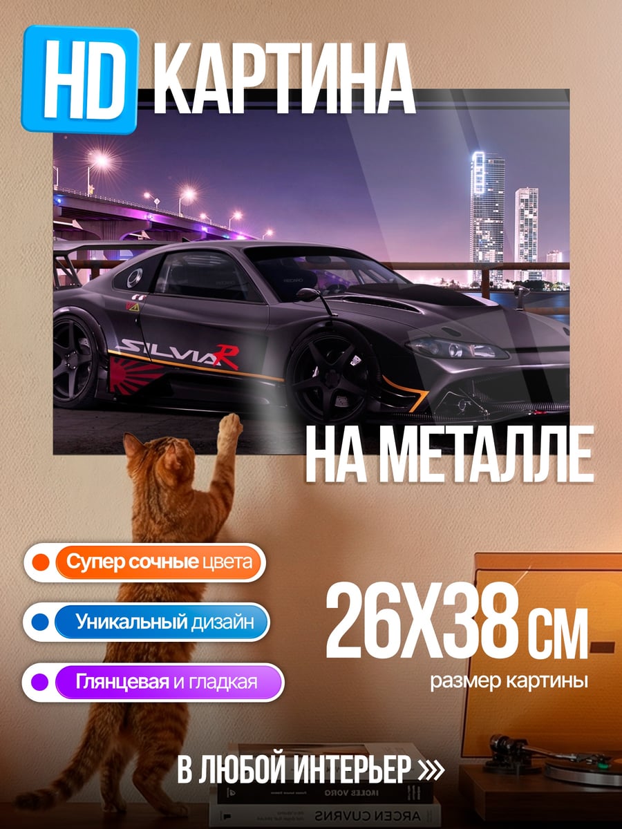 Картина на металле тюнингованная Сильвия
