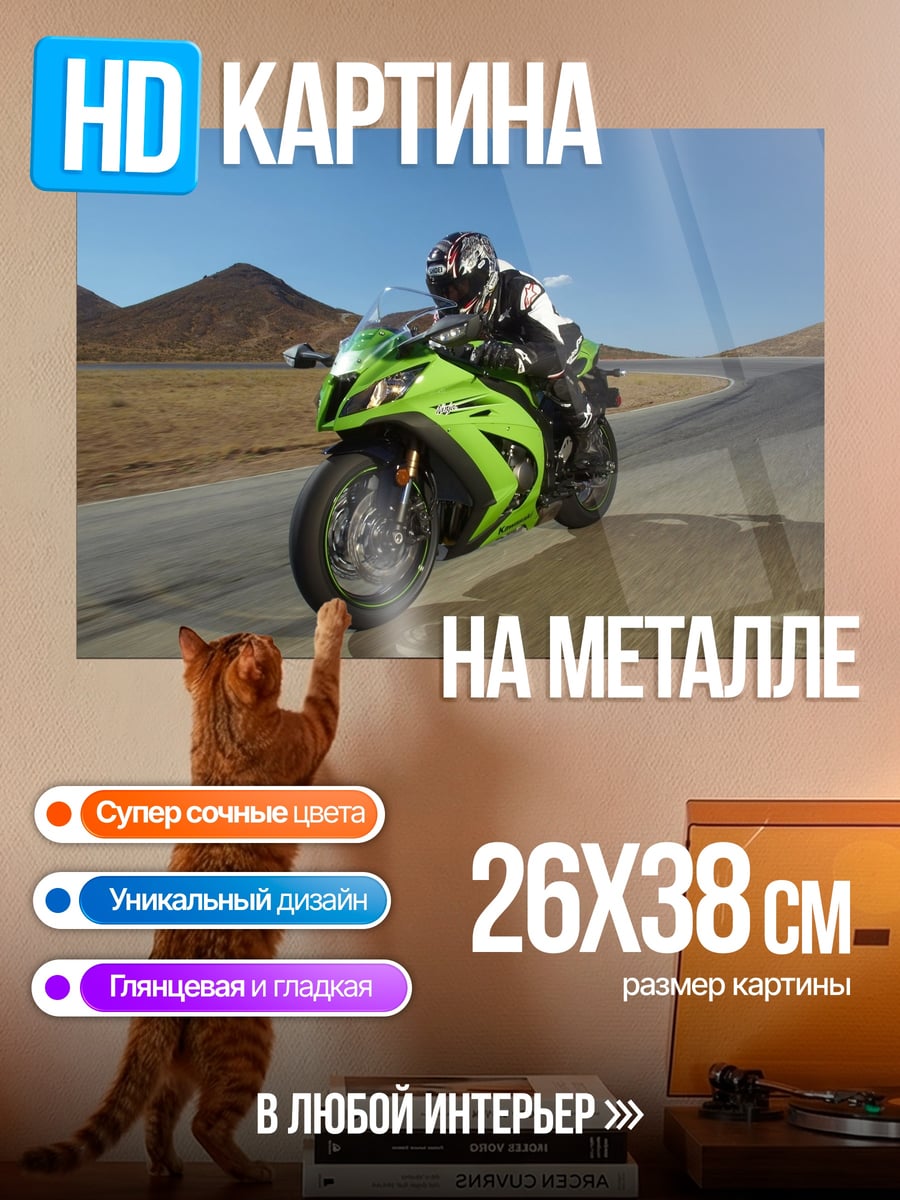Картина на металле Спортивный мотоцикл