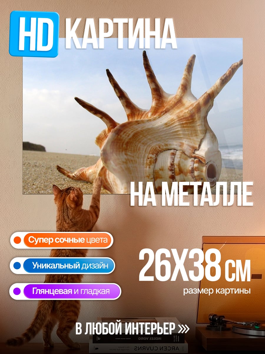 Картина на металле Морская раковина на пляже
