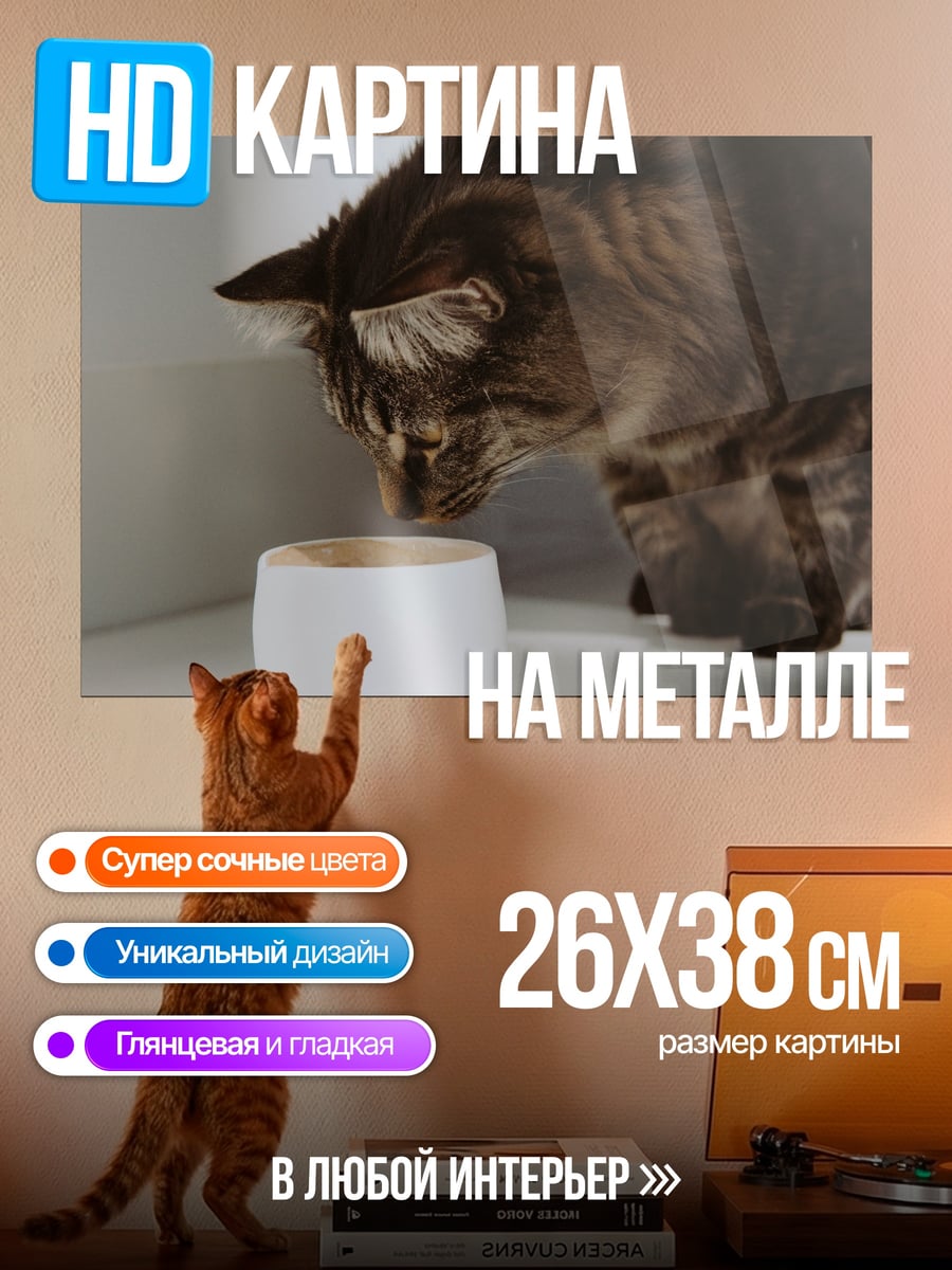 Картина на металле Кот пьет воду
