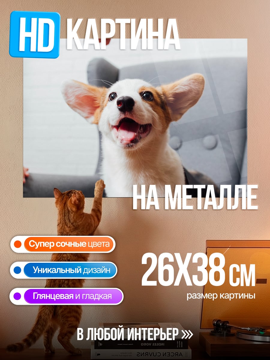 Картина на металле Счастливый корги
