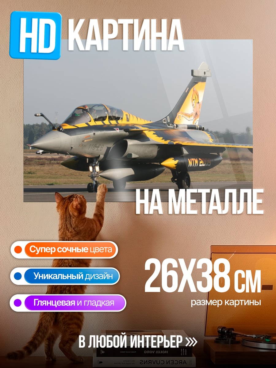 Картина на металле Истребитель Рафаль