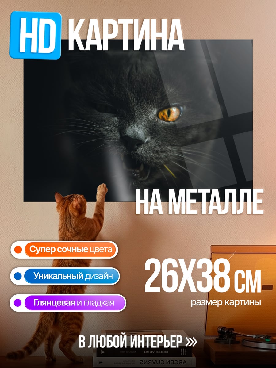 Картина на металле Черный кот