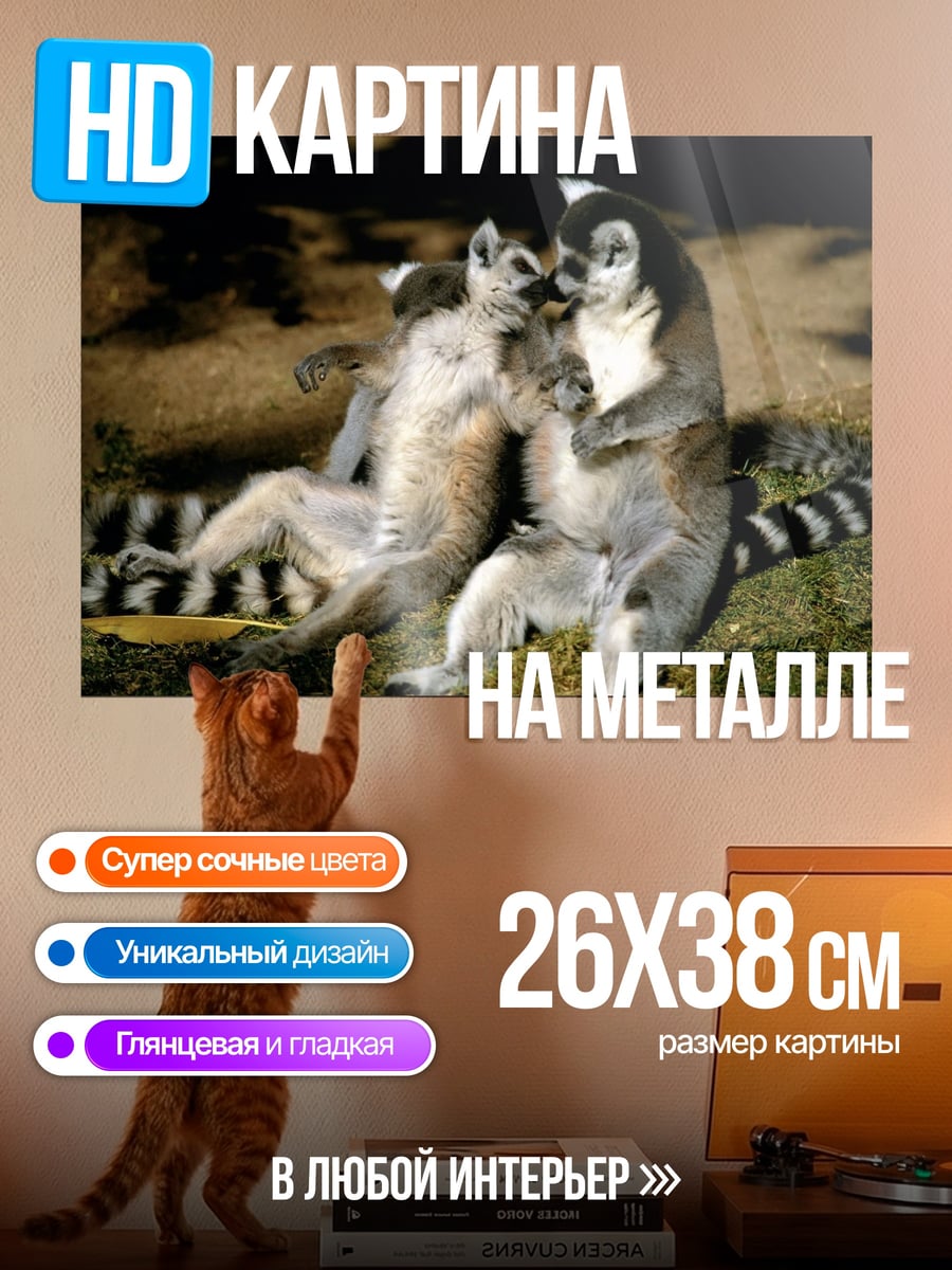Картина на металле лемуры на траве