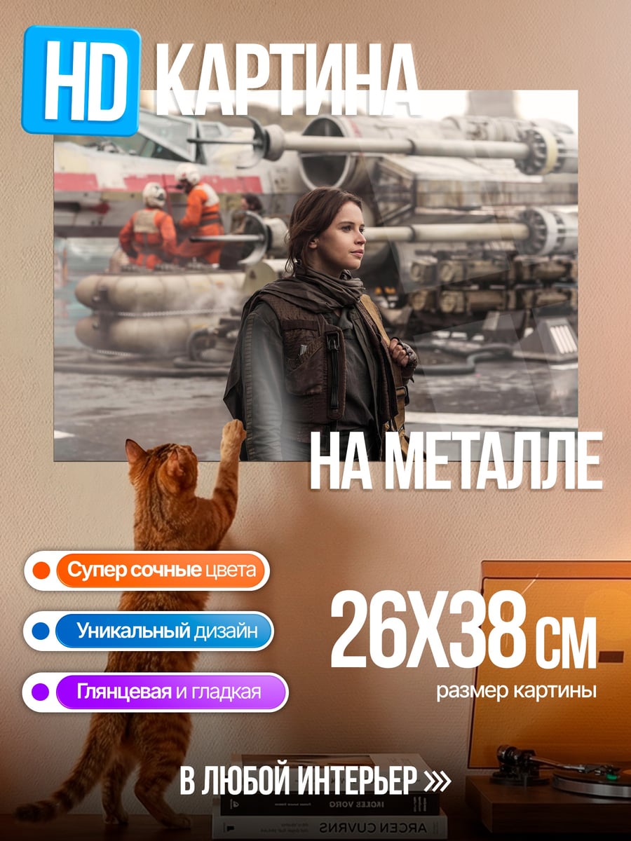 Картина на металле Джин Эрсо Звездные войны