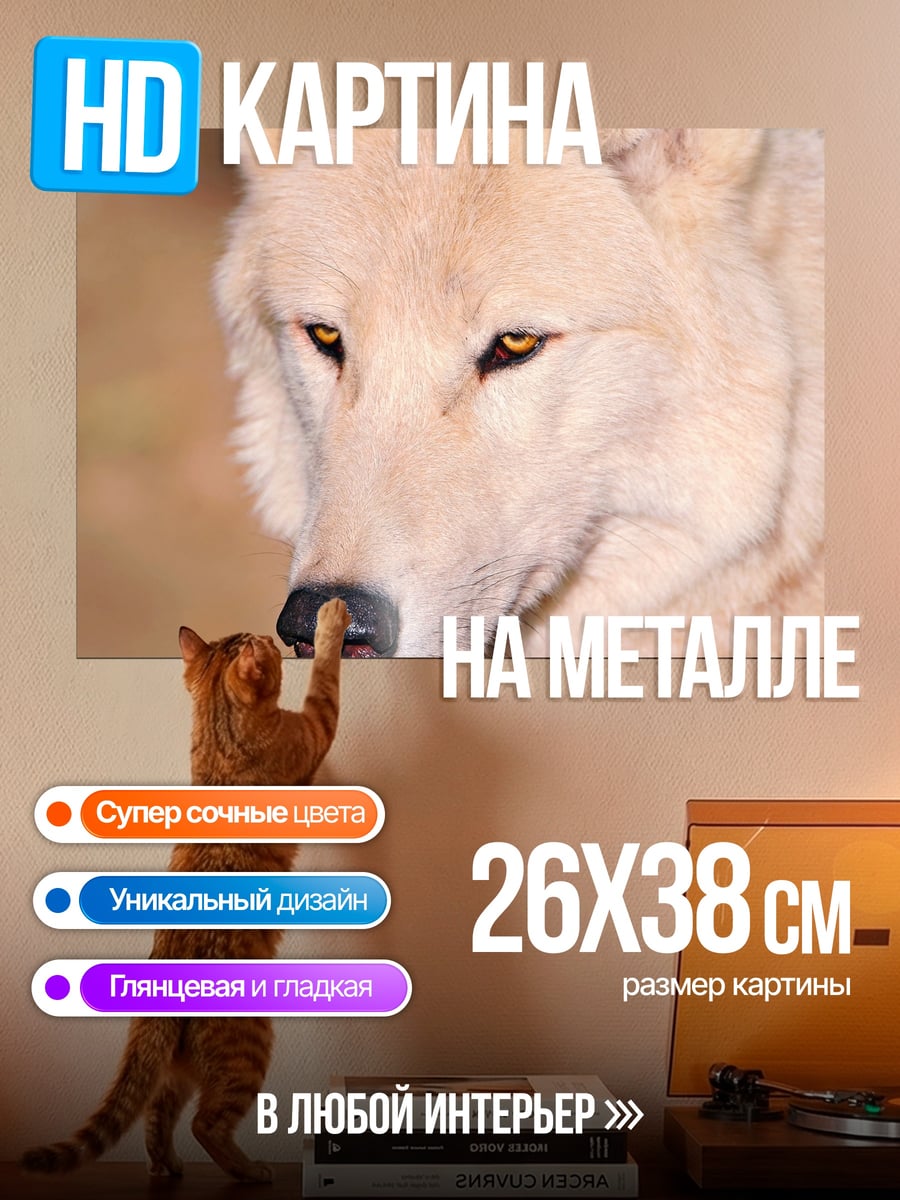 Картина на металле белый волк взгляд