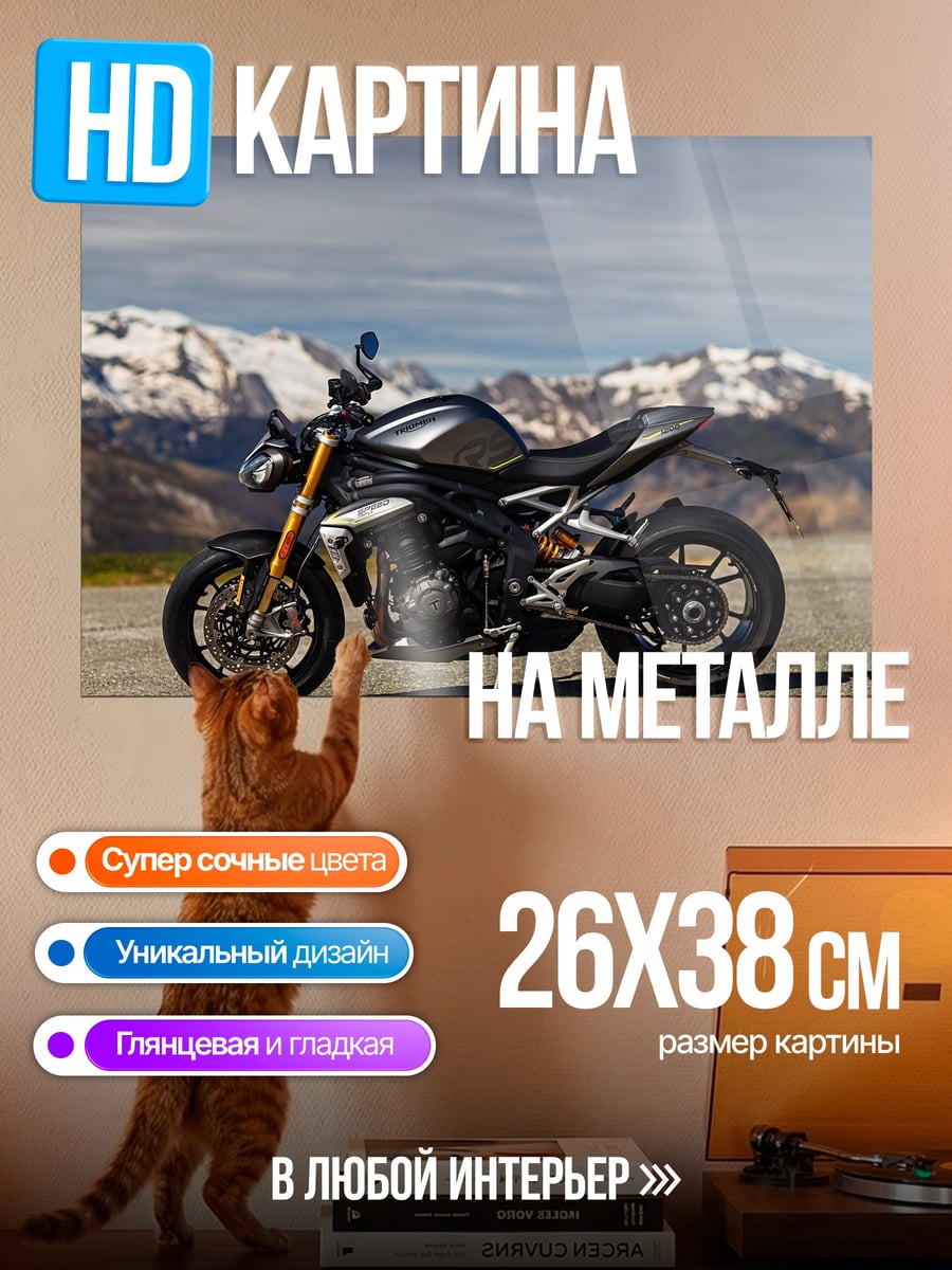 Картина на металле Мотоцикл в горах