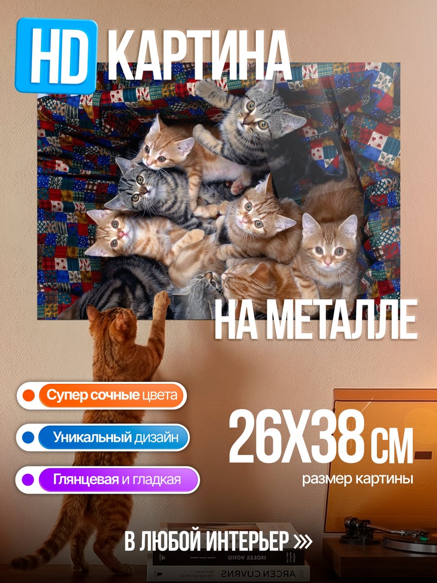 Картина на металле Котята на одеяле