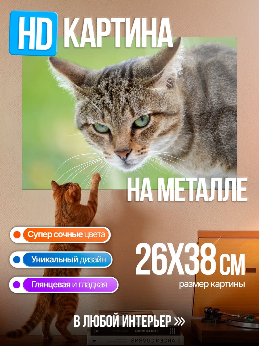 Картина на металле Кот