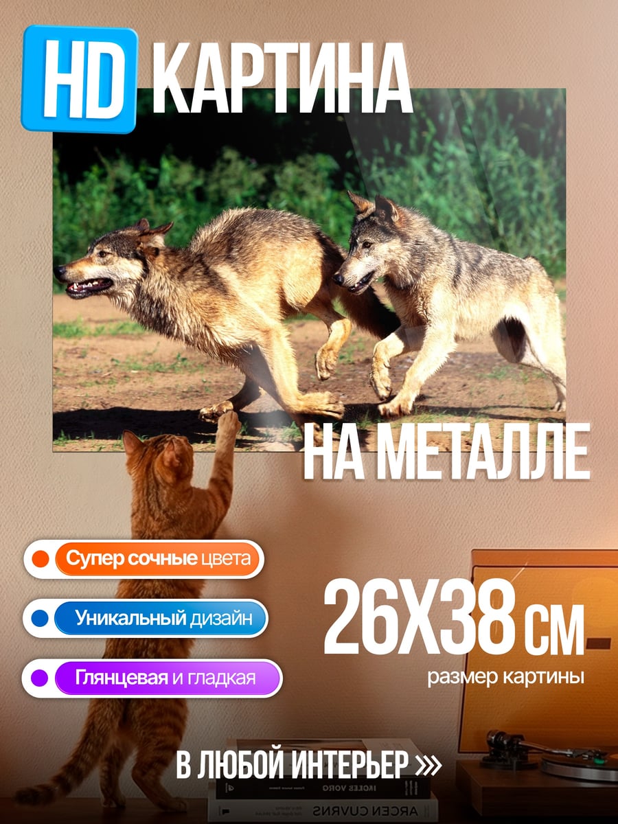 Картина на металле Два волка