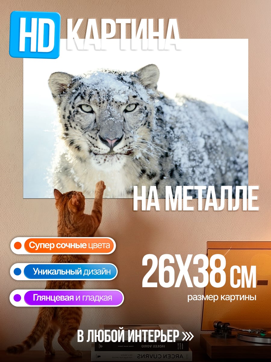 Картина на металле Снежный барс в снегу