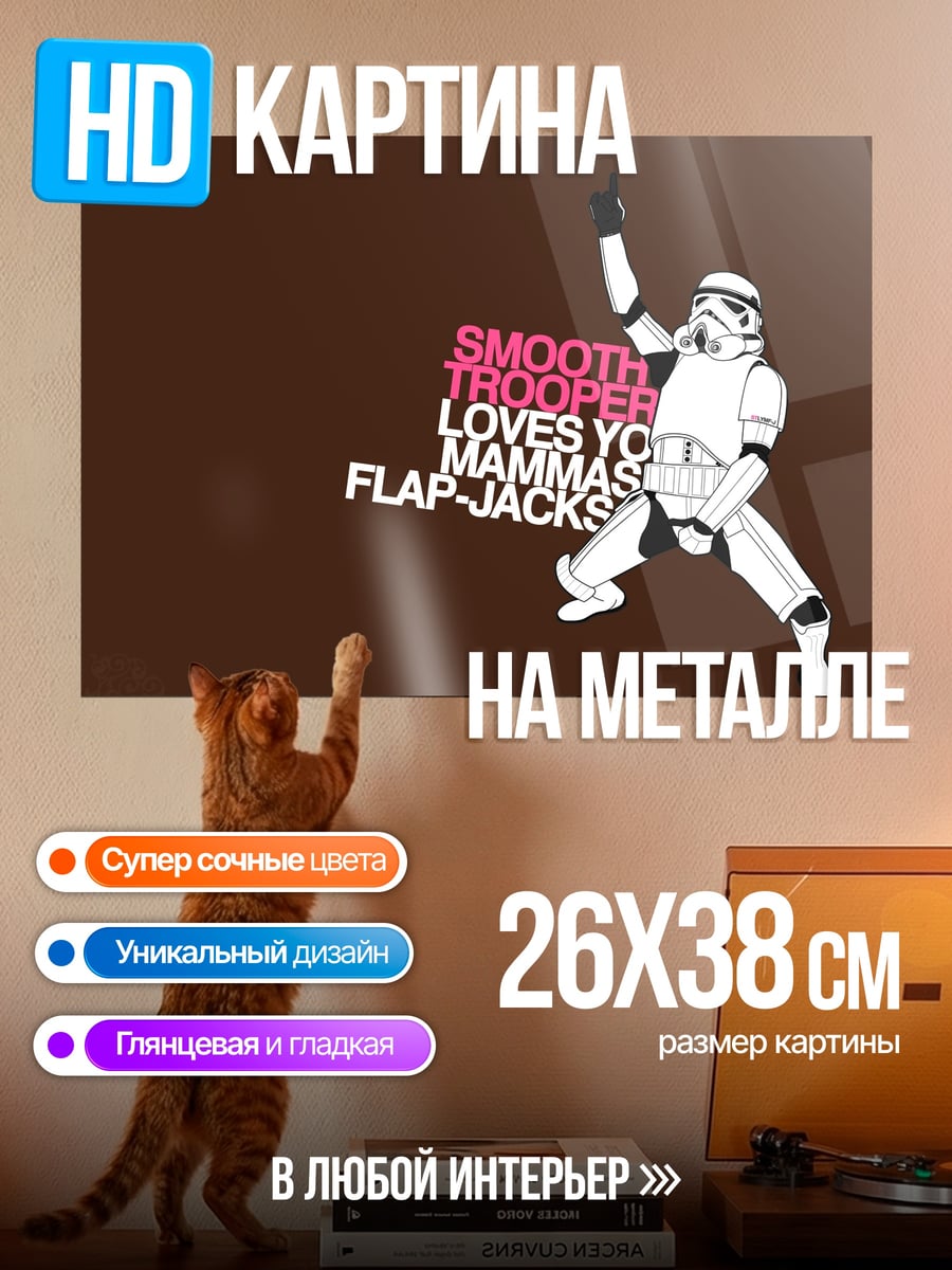 Картина на металле Штурмовик любит панкейки