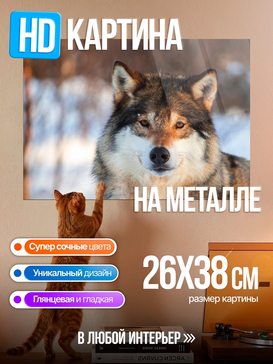 Картина на металле портрет волка зимой