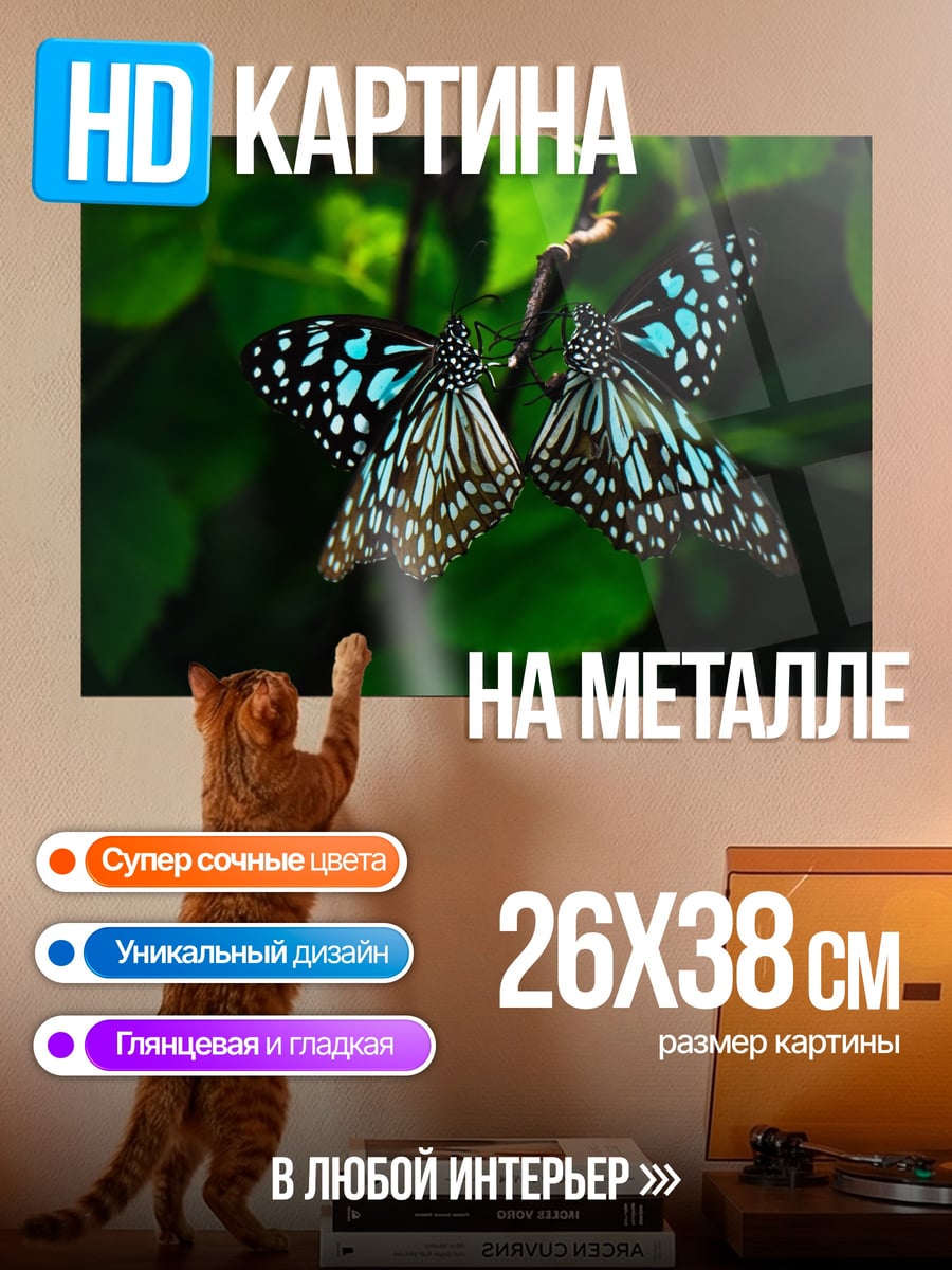 Картина на металле Две бабочки