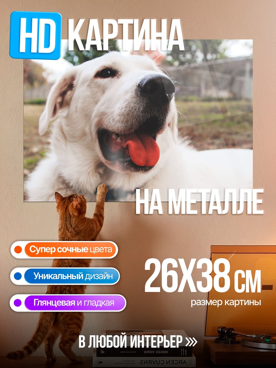 Картина на металле Белый пес