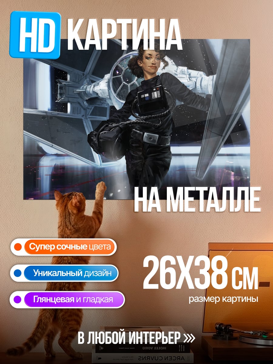 Картина на металле Пилот имперского истребителя