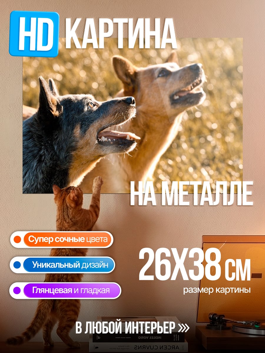 Картина на металле две собаки