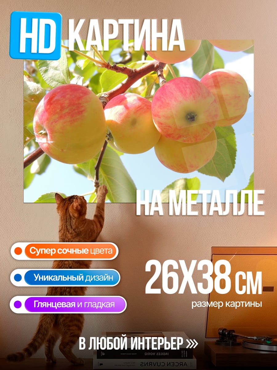 Картина на металле яблоки на ветке